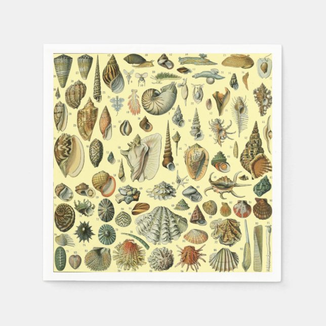Guardanapo De Papel Seashell Shell Mollusk Clam Elegant Clam Art (Frente)