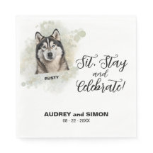 Sente-se, Fica & Celebra Foto de Cachorro Malamute