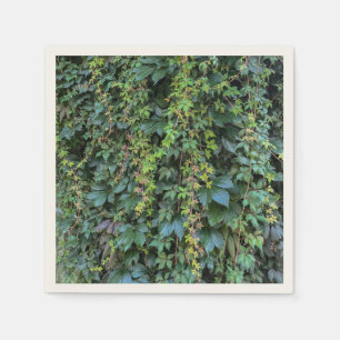 Guardanapo De Papel Serene Green Ivy Wall Prendendo Folhas de Plantas