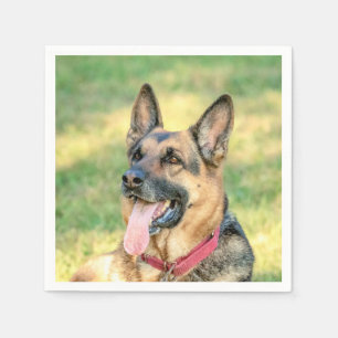 Guardanapo De Papel Shepard Alemão