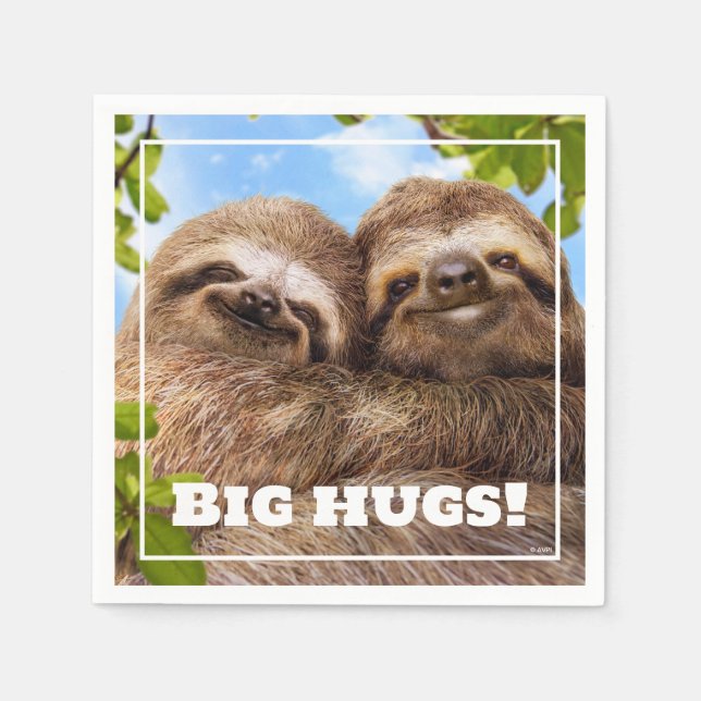 Guardanapo De Papel Sloth Couple (Frente)