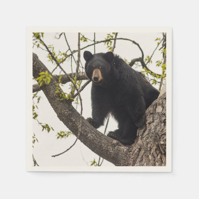 Guardanapo De Papel Sobe Urso Negro (Frente)