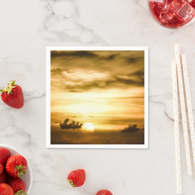 Guardanapo De Papel Sol No Oceano Pacífico (Insitu)