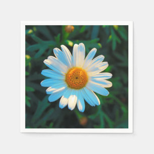 Guardanapo De Papel Solteiro Daisy