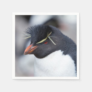 Guardanapo De Papel Southern Rockhopper Penguin