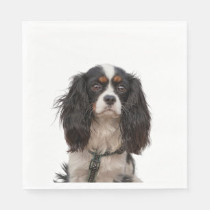 GUARDANAPO DE PAPEL SPANIEL 1A