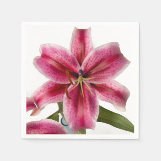 Guardanapo De Papel Stargazer Lily Cocktail Napkin