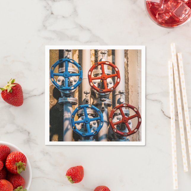 Guardanapo De Papel Stopcock in the Schiffbau, Zurique (Insitu)