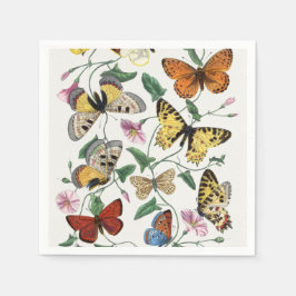 Guardanapo De Papel Study of diurnal butterflies by Paul Gervais