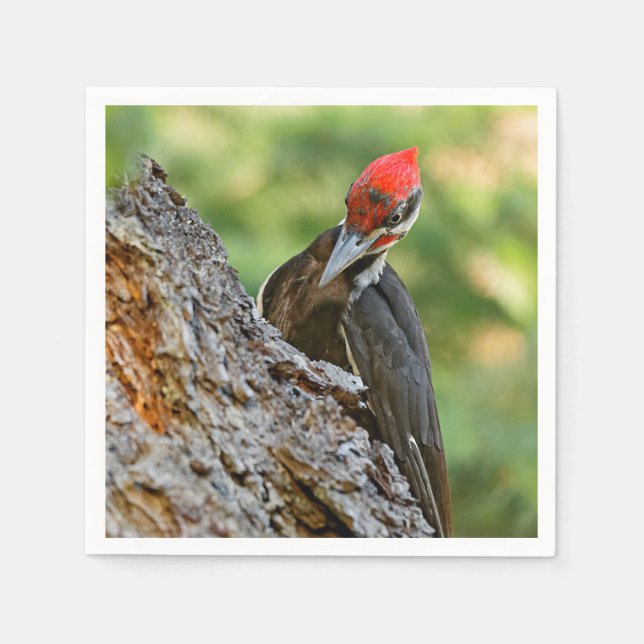 Guardanapo De Papel Stunning Portrait of Pileated Woodpecker on Tree (Frente)
