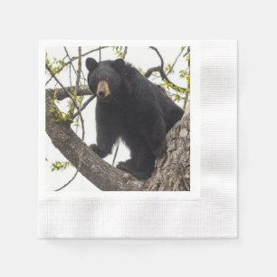 Guardanapo De Papel Subindo Urso Negro