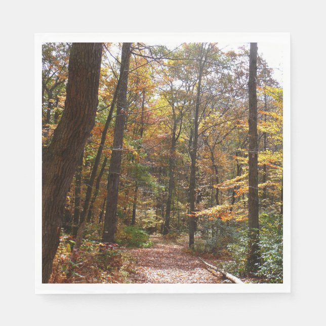Guardanapo De Papel Sunlit Fall Trail no Parque Estadual de Laurel Hil (Frente)