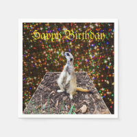 Suricata Em Fundo De Estrelas Brilhantes,