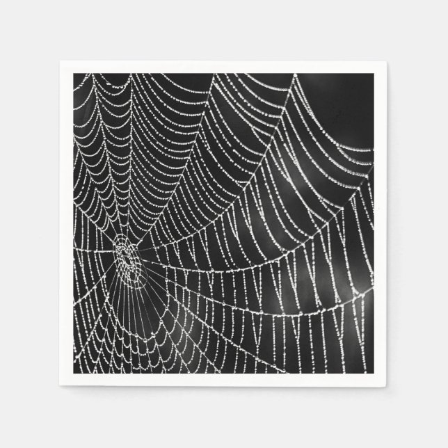Guardanapo De Papel Teia de Aranha Coberta de Orvalho (Frente)
