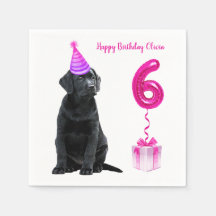 Tema Da Papoila De 6 Aniversário- Garota Rosa De C