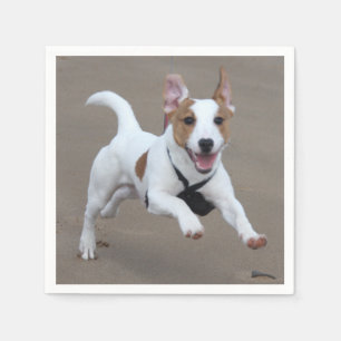 Guardanapo De Papel Terrier de Jack_Russell que funciona 2.png