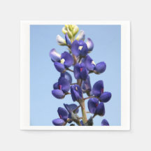 Texas Bluebonnet Paper Napkins
