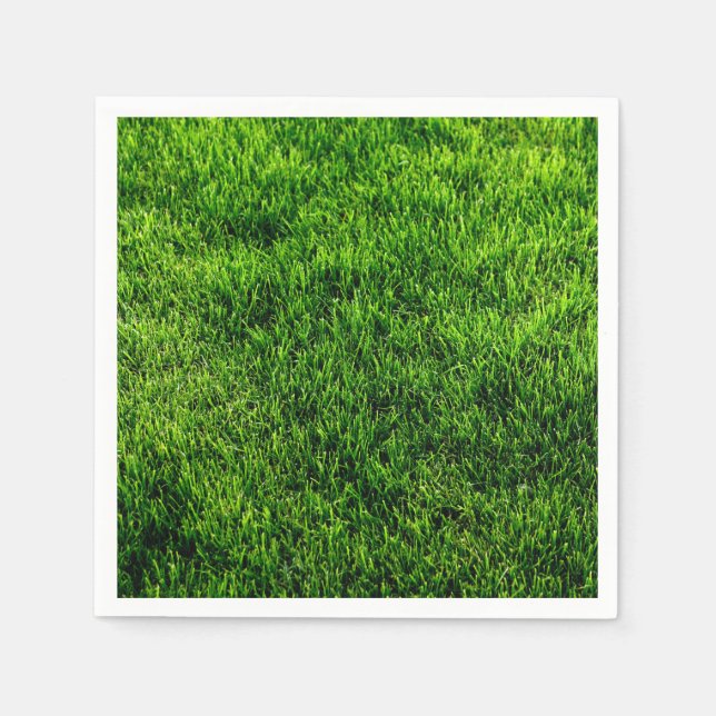 Guardanapo De Papel Texturas de estilos clássicos (Frente)