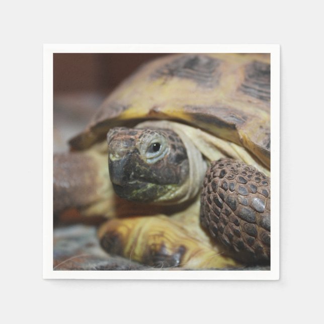 Guardanapo De Papel Tibbs (Frente)