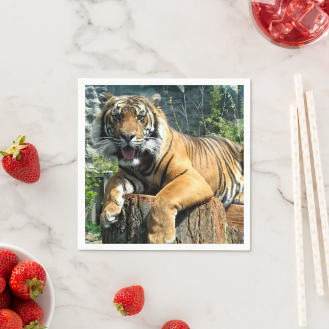 Guardanapo De Papel Tigre (Insitu)