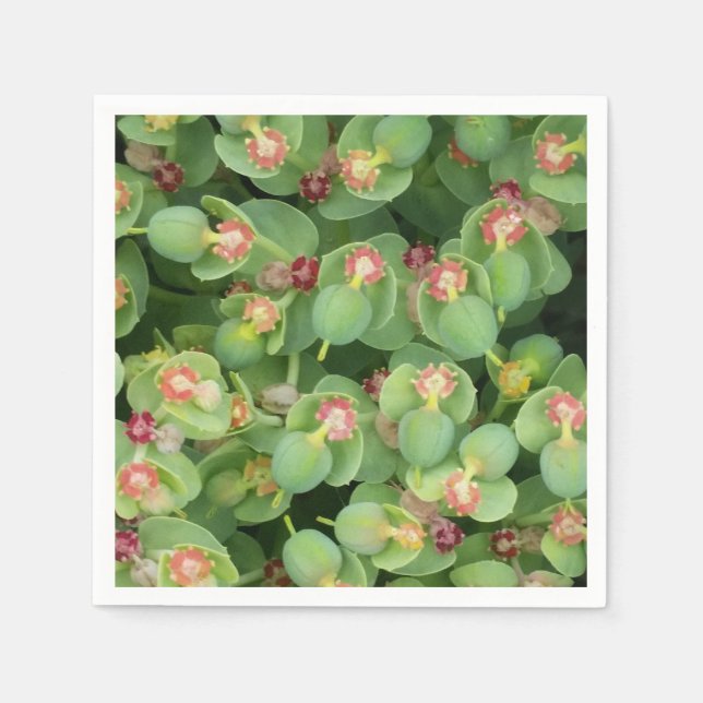 Guardanapo De Papel Tiny Green Flora (Frente)