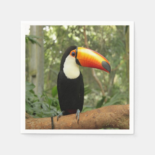 Guardanapo De Papel Toucan na ramificação da árvore (Frente)