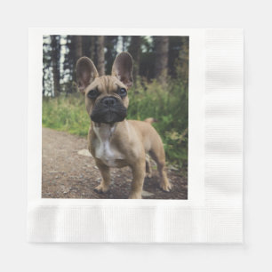Guardanapo De Papel Travesseiro de French Bulldog
