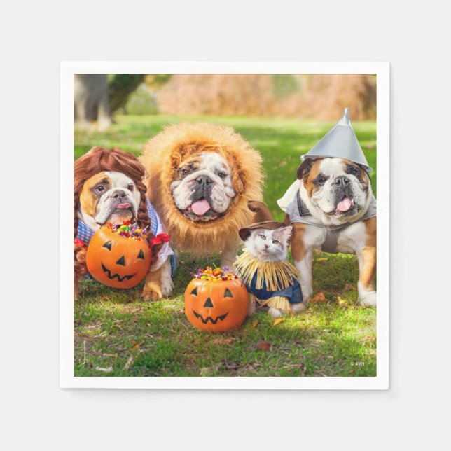 Guardanapo De Papel Três Bulldogs Vestidos (Frente)