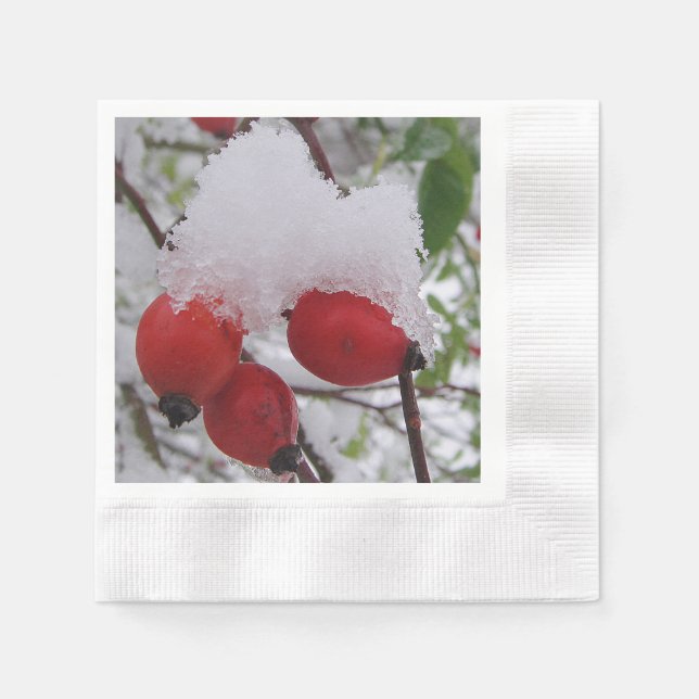 Guardanapo De Papel Três pistas com boné de neve (Frente)