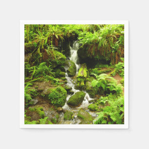Guardanapo De Papel Trillium Falls no Parque Nacional de Redwood