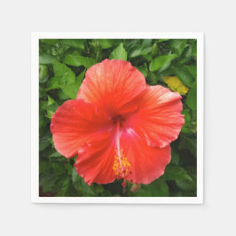 Guardanapo De Papel Tropical Red Hibiscus Bonita Primavera Flórida