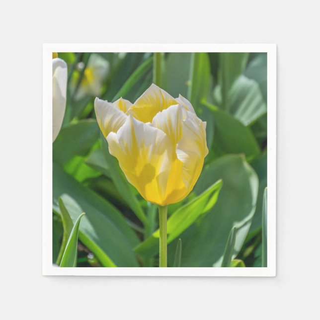 Guardanapo De Papel Tulipa amarela e branca (Frente)