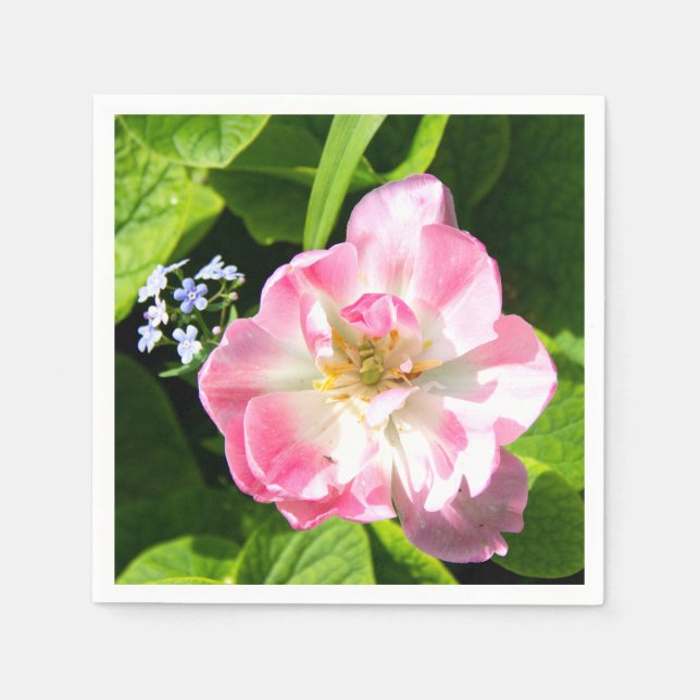 Guardanapo De Papel Tulipa rosa-branca (Frente)