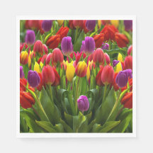 Tulipas Bris