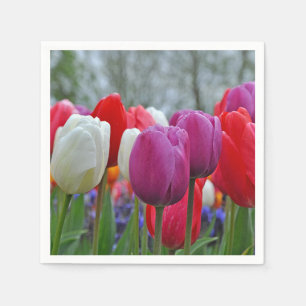 Guardanapo De Papel Tulipas coloridas, adesivo de beleza