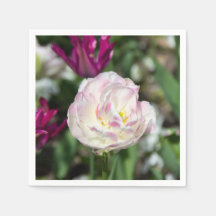 Tulipas cor-de-rosa brilhantes num dia ensolarado