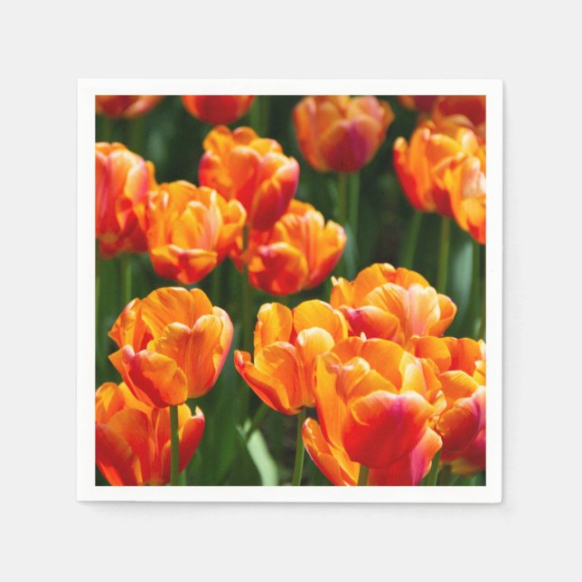 Guardanapo De Papel Tulipas laranja-claras no parque (Frente)
