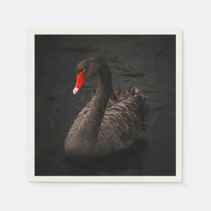 Guardanapo De Papel Um lindo Cisne Negro com um Barão Vermelho Brilha