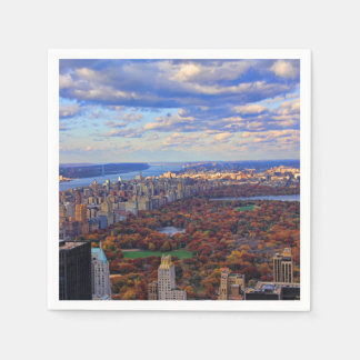 Guardanapo De Papel Uma vista de cima: Outono no Central Park 01