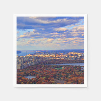 Guardanapo De Papel Uma vista de cima: Outono no Central Park 01