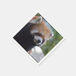 Guardanapo De Papel Urso de panda vermelha doce