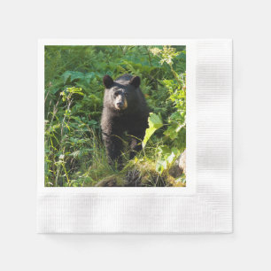 Guardanapo De Papel Urso Preto Curioso