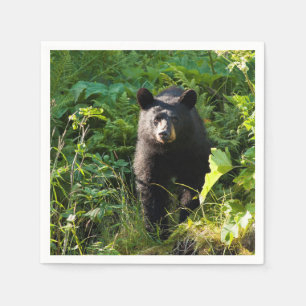 Guardanapo De Papel Urso preto curioso