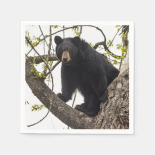 Guardanapo De Papel Urso preto de escalada