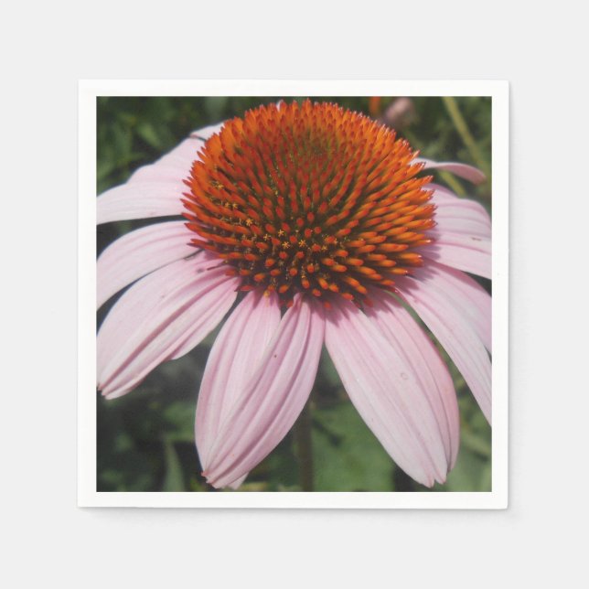 Guardanapo De Papel Varotari (Frente)