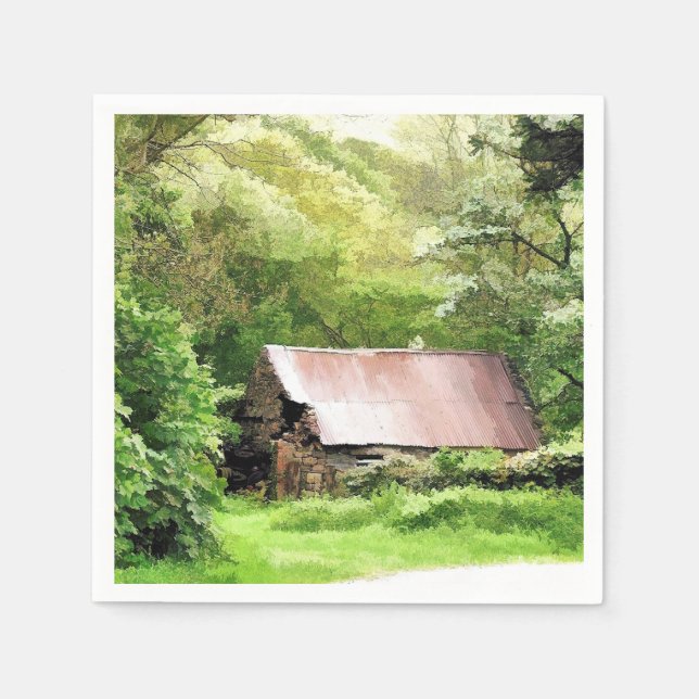 GUARDANAPO DE PAPEL VELHOS BARNS (Frente)