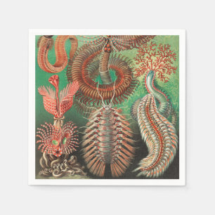 Guardanapo De Papel Vermes, Annelids Chaetopoda, por Ernst Haeckel