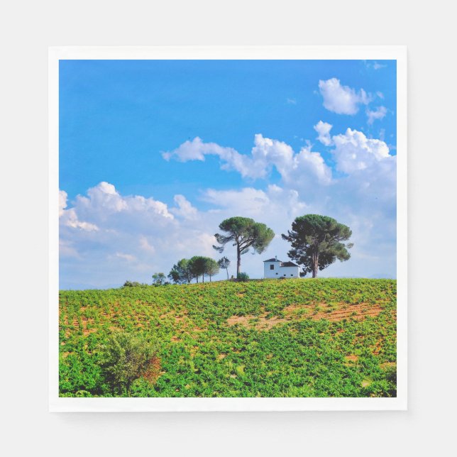 Guardanapo De Papel Viña de Los Pinos (Frente)