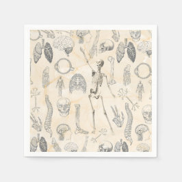 Guardanapo De Papel Vintage Anatomia Humana Creme Marfil Marfil Marble