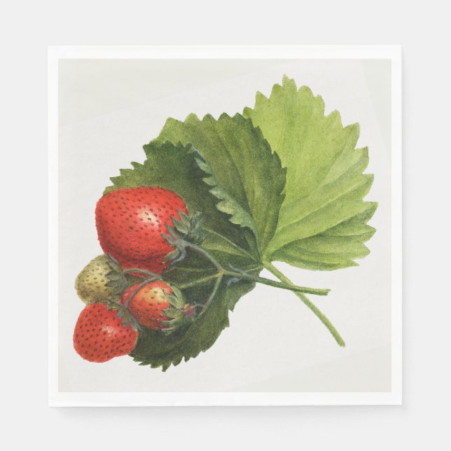 Guardanapo De Papel Vintage Strawberry (Frente)